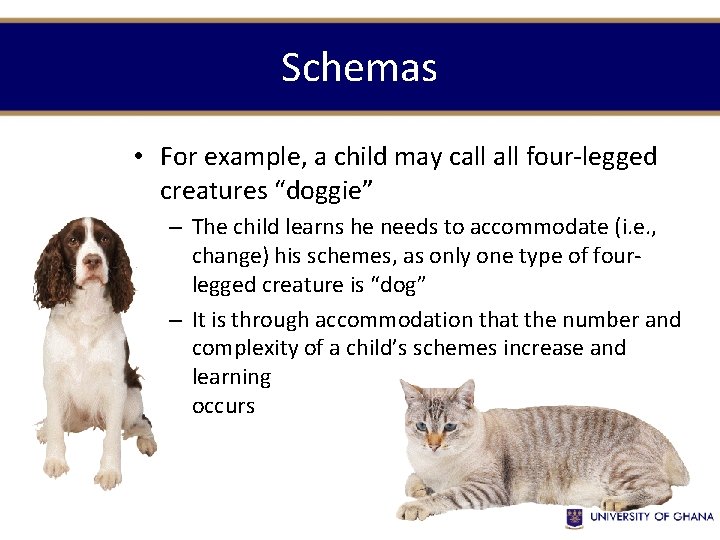Schemas • For example, a child may call four-legged creatures “doggie” – The child