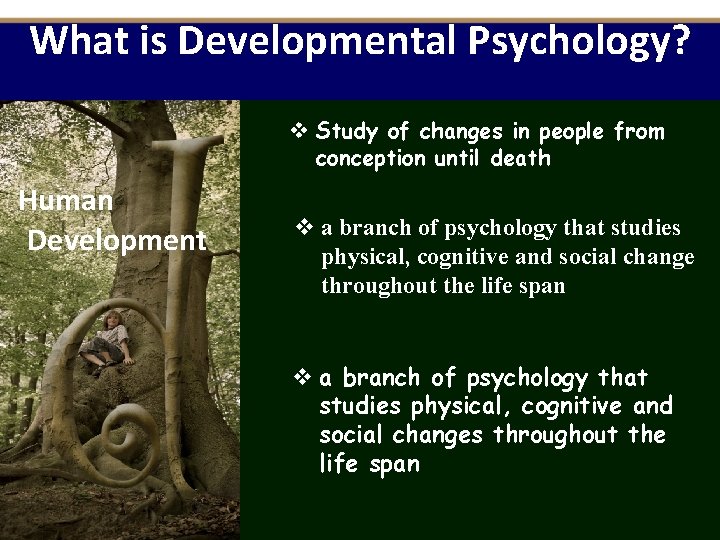 What is Developmental Psychology? v Study of changes in people from conception until death