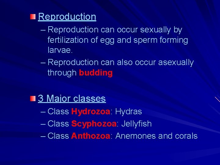 Reproduction – Reproduction can occur sexually by fertilization of egg and sperm forming larvae.