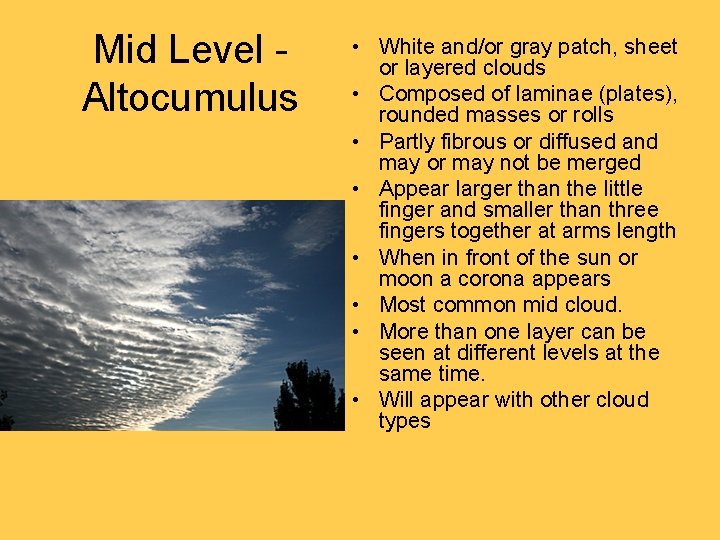 Mid Level Altocumulus • White and/or gray patch, sheet or layered clouds • Composed