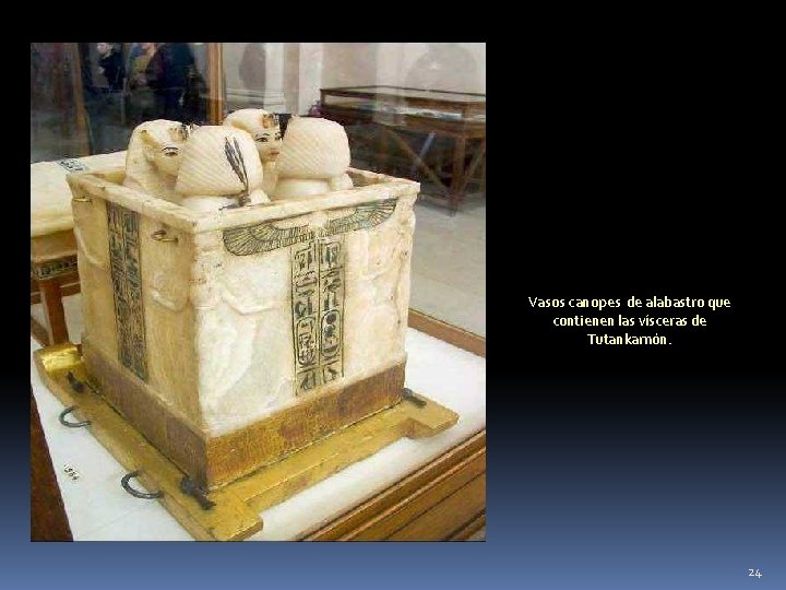 Vasos canopes de alabastro que contienen las vísceras de Tutankamón. 24 