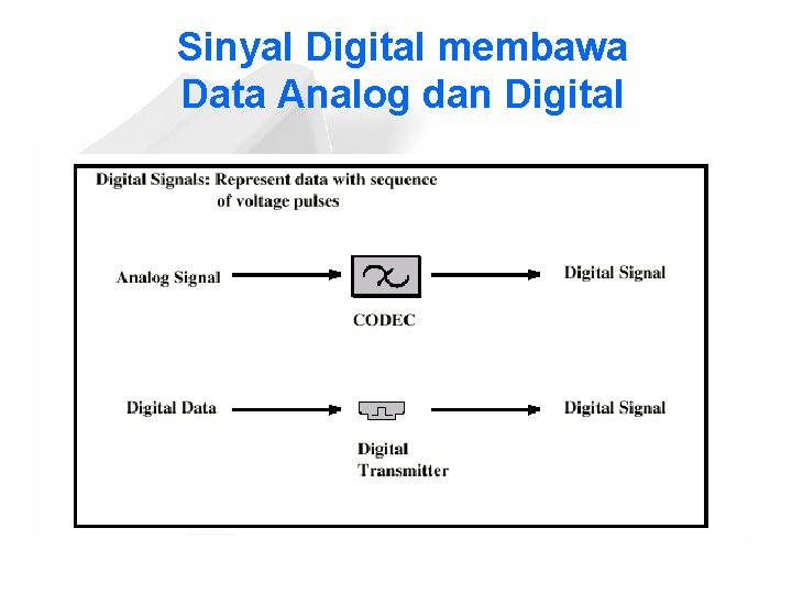 Sinyal Digital membawa Data Analog dan Digital 