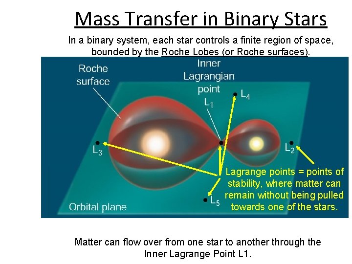 Mass Transfer in Binary Stars In a binary system, each star controls a finite