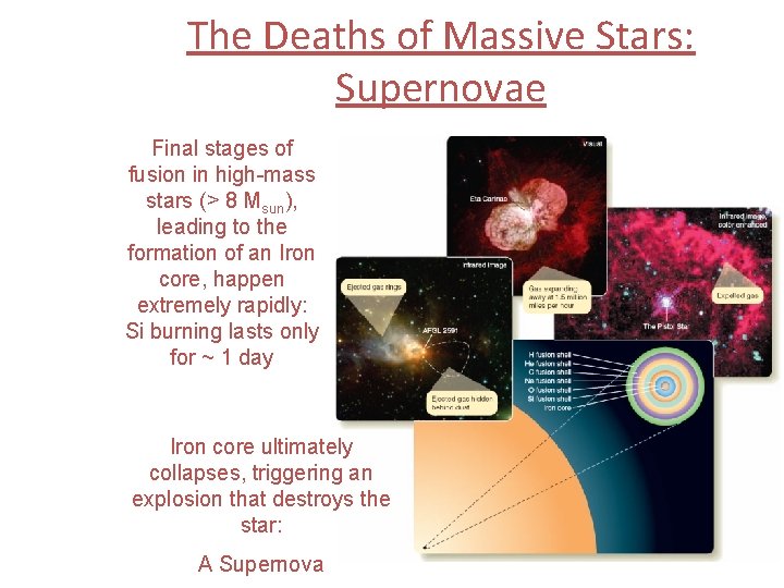 The Deaths of Massive Stars: Supernovae Final stages of fusion in high-mass stars (>