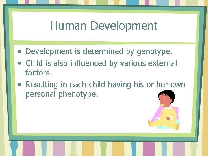 Human Development • Development is determined by genotype. • Child is also influenced by