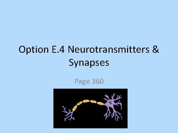 Option E. 4 Neurotransmitters & Synapses Page 360 