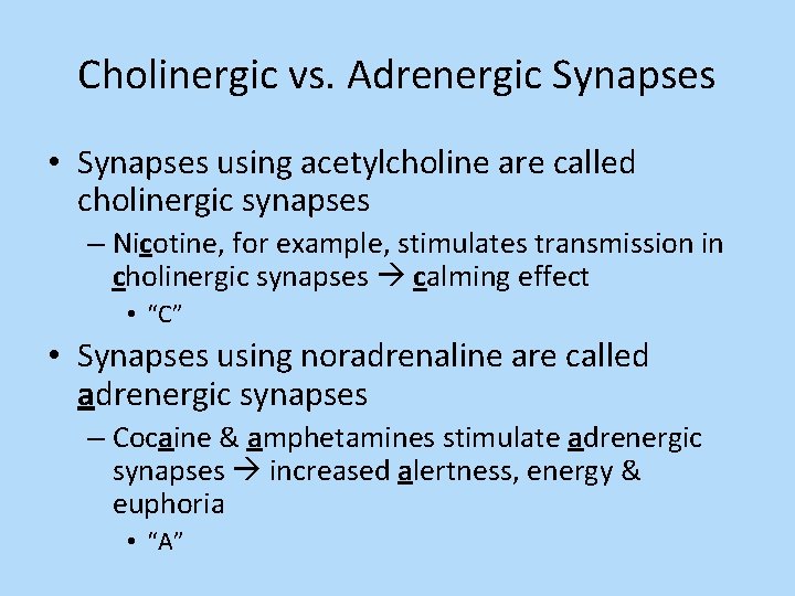 Cholinergic vs. Adrenergic Synapses • Synapses using acetylcholine are called cholinergic synapses – Nicotine,