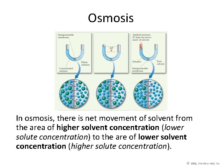 Osmosis In osmosis, there is net movement of solvent from the area of higher