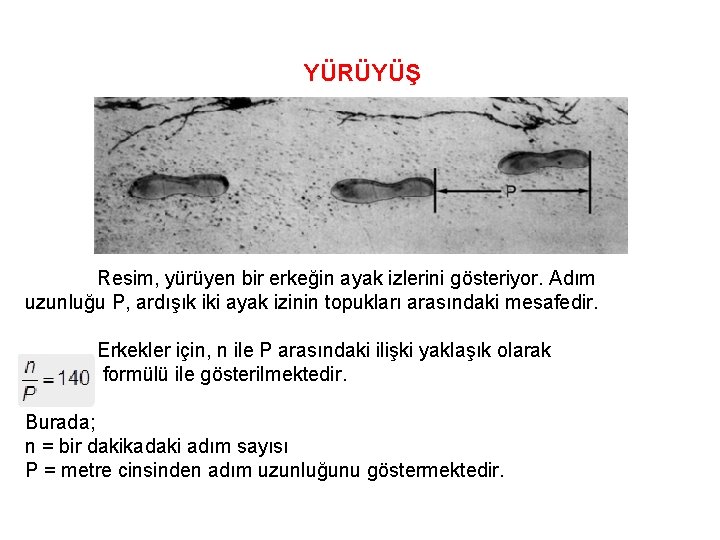 YÜRÜYÜŞ Resim, yürüyen bir erkeğin ayak izlerini gösteriyor. Adım uzunluğu P, ardışık iki ayak