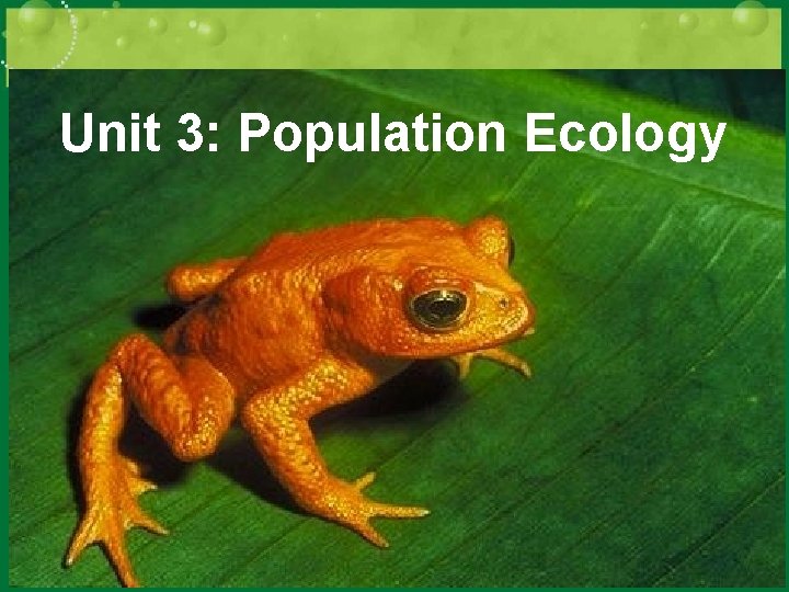 Unit 3: Population Ecology 