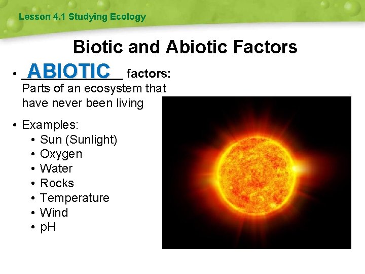 Lesson 4. 1 Studying Ecology Biotic and Abiotic Factors ABIOTIC • ________ factors: Parts