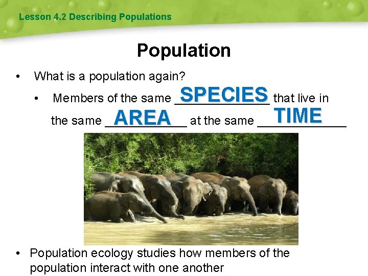 Lesson 4. 2 Describing Populations Population • What is a population again? • SPECIES