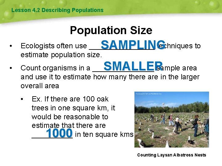 Lesson 4. 2 Describing Populations Population Size SAMPLING • Ecologists often use ________ techniques