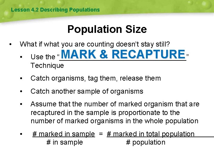 Lesson 4. 2 Describing Populations Population Size • What if what you are counting