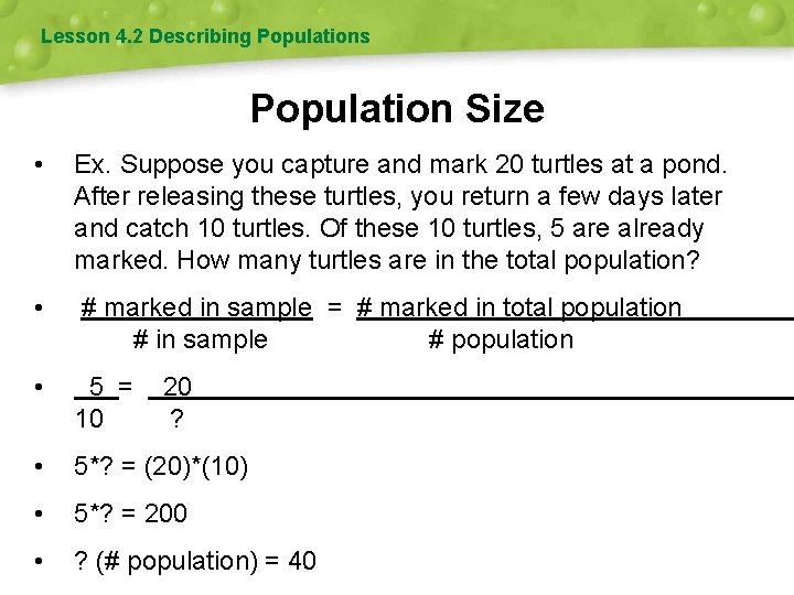 Lesson 4. 2 Describing Populations Population Size • Ex. Suppose you capture and mark