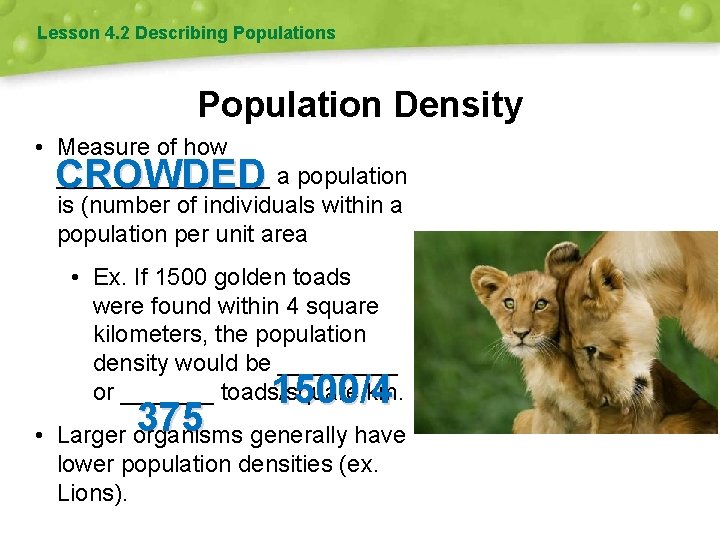 Lesson 4. 2 Describing Populations Population Density • Measure of how ________ a population