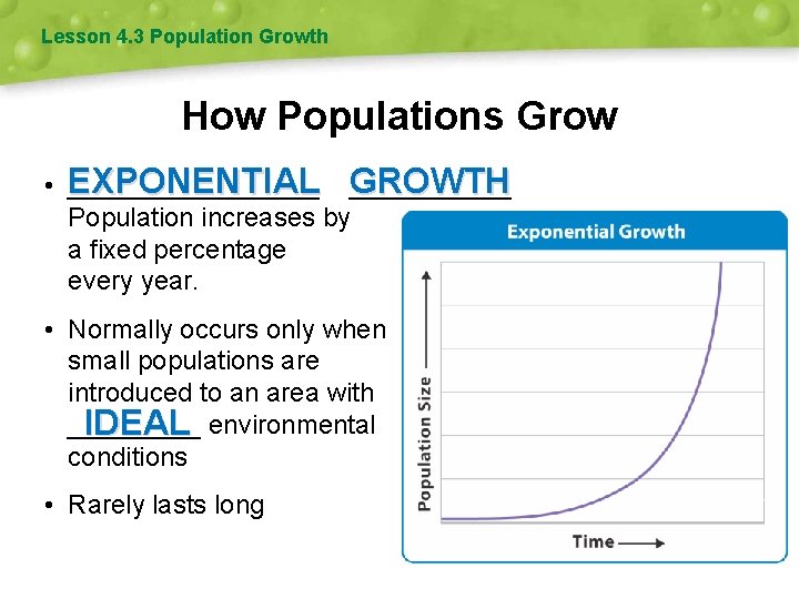 Lesson 4. 3 Population Growth How Populations Grow GROWTH • EXPONENTIAL _________ Population increases