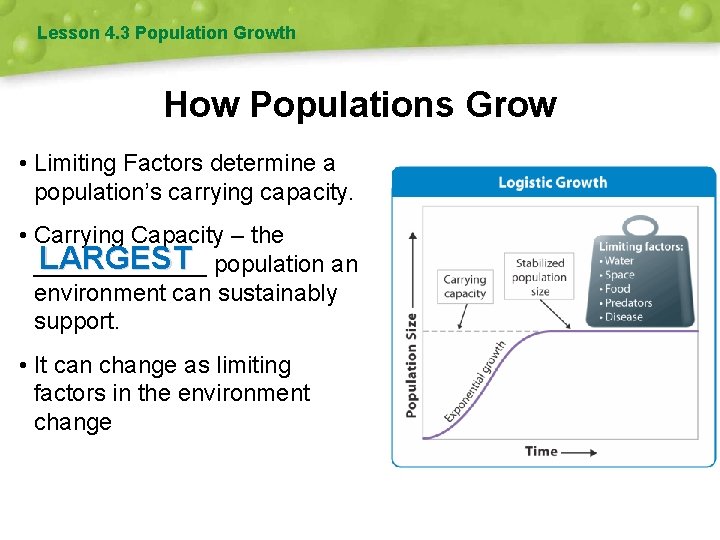 Lesson 4. 3 Population Growth How Populations Grow • Limiting Factors determine a population’s