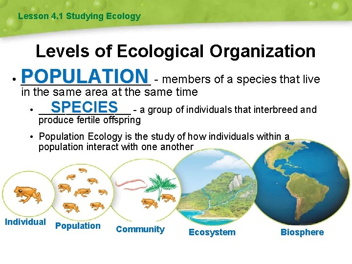 Lesson 4. 1 Studying Ecology Levels of Ecological Organization POPULATION • __________ - members