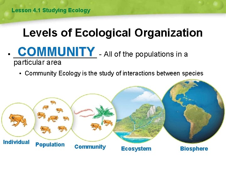 Lesson 4. 1 Studying Ecology Levels of Ecological Organization COMMUNITY • __________ - All