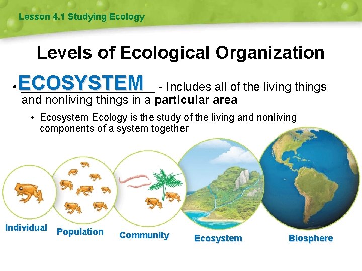 Lesson 4. 1 Studying Ecology Levels of Ecological Organization ECOSYSTEM • __________ - Includes