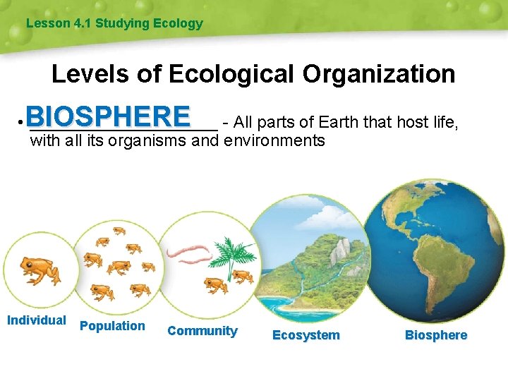 Lesson 4. 1 Studying Ecology Levels of Ecological Organization BIOSPHERE • __________ - All