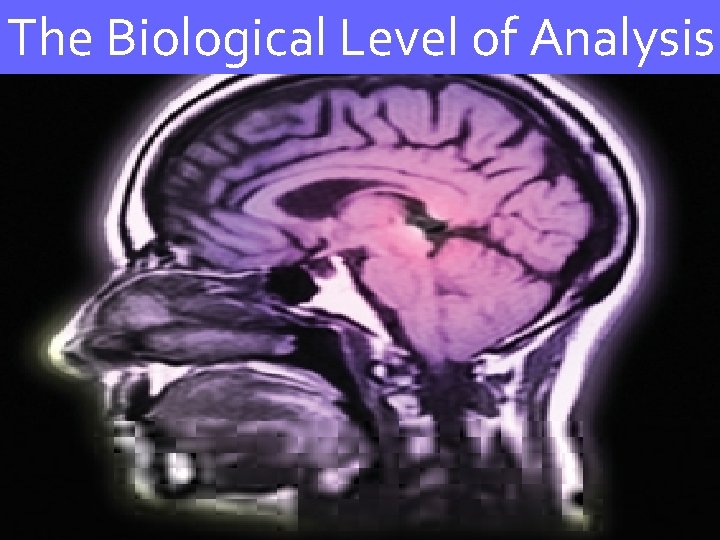 The Biological Level of Analysis 