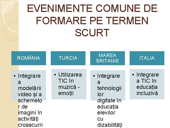 EVENIMENTE COMUNE DE FORMARE PE TERMEN SCURT ROM NIA TURCIA • Integrare a modelării