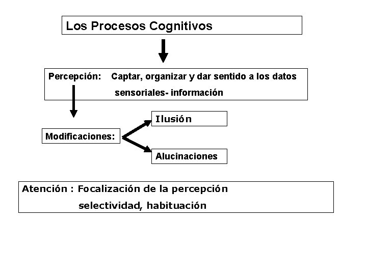 Los Procesos Cognitivos Percepción: Captar, organizar y dar sentido a los datos sensoriales- información