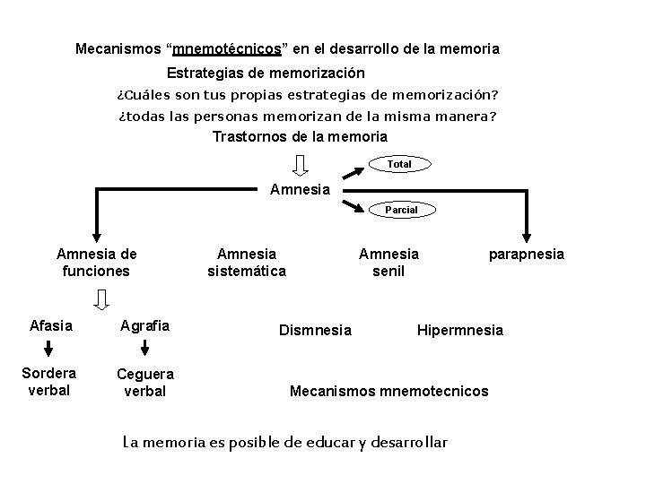 Mecanismos “mnemotécnicos” en el desarrollo de la memoria Estrategias de memorización ¿Cuáles son tus