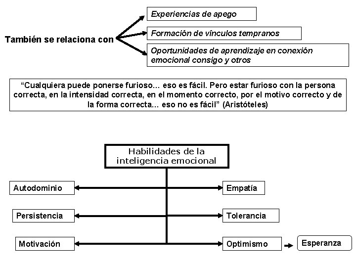 Experiencias de apego También se relaciona con Formación de vínculos tempranos Oportunidades de aprendizaje