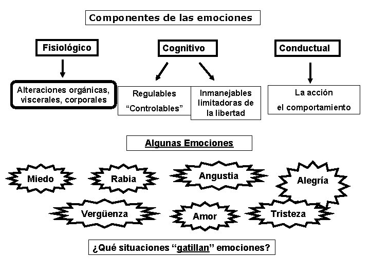 Componentes de las emociones Fisiológico Cognitivo Alteraciones orgánicas, viscerales, corporales Regulables “Controlables” Inmanejables limitadoras