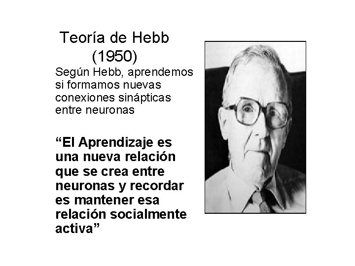 Teoría de Hebb (1950) Según Hebb, aprendemos si formamos nuevas conexiones sinápticas entre neuronas