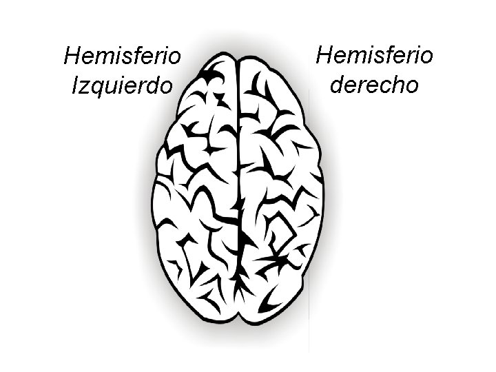 Hemisferio Izquierdo Hemisferio derecho 