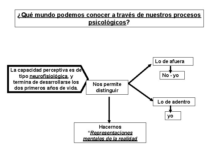 ¿Qué mundo podemos conocer a través de nuestros procesos psicológicos? Lo de afuera La