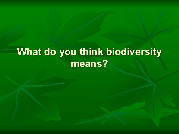 What do you think biodiversity means? 