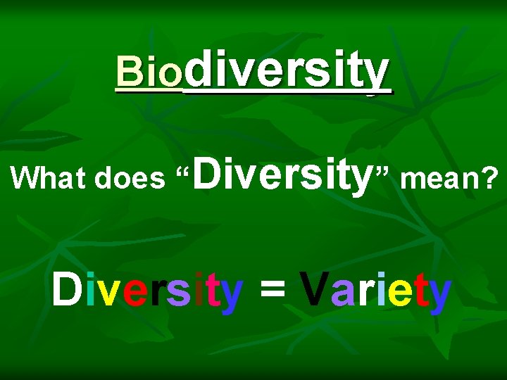 Biodiversity What does “Diversity” mean? Diversity = Variety 