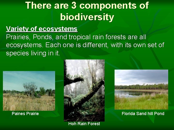 There are 3 components of biodiversity Variety of ecosystems Prairies, Ponds, and tropical rain