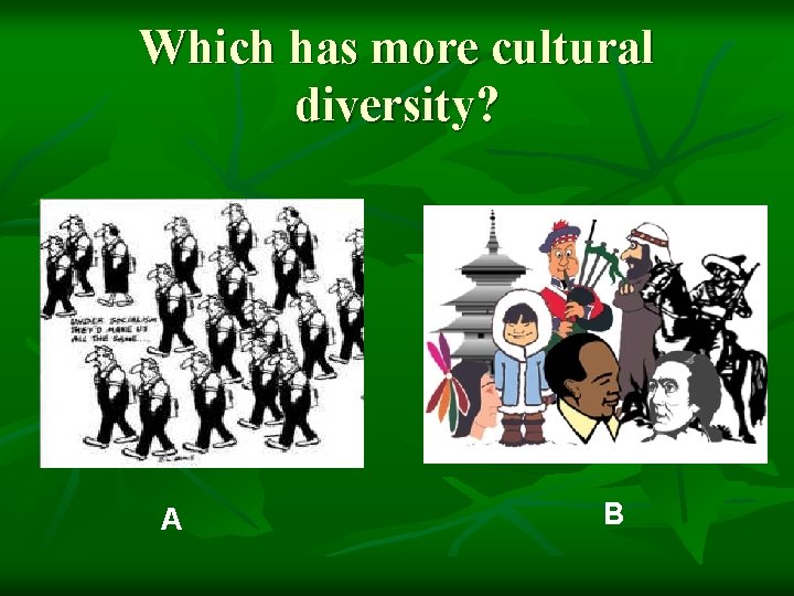 Which has more cultural diversity? A B 
