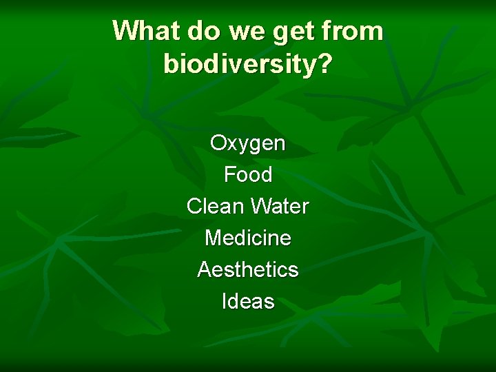 What do we get from biodiversity? Oxygen Food Clean Water Medicine Aesthetics Ideas 