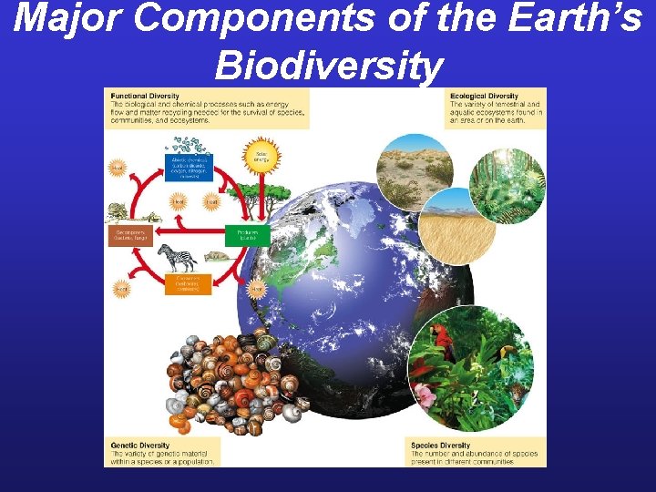 Major Components of the Earth’s Biodiversity 