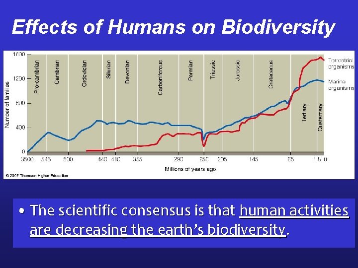 Effects of Humans on Biodiversity • The scientific consensus is that human activities are
