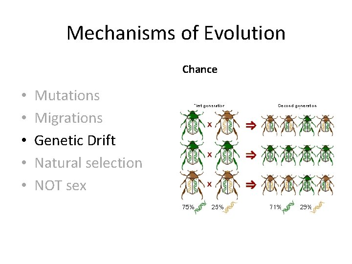 Mechanisms of Evolution Chance • • • Mutations Migrations Genetic Drift Natural selection NOT