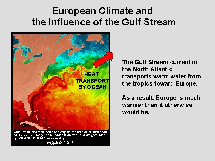European Climate and the Influence of the Gulf Stream HEAT TRANSPORT BY OCEAN The