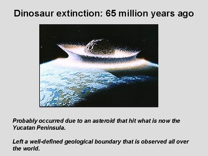 Dinosaur extinction: 65 million years ago Probably occurred due to an asteroid that hit