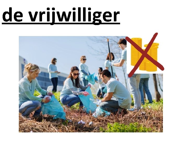 de vrijwilliger 