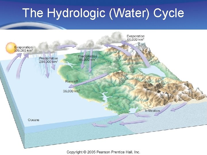 The Hydrologic (Water) Cycle 
