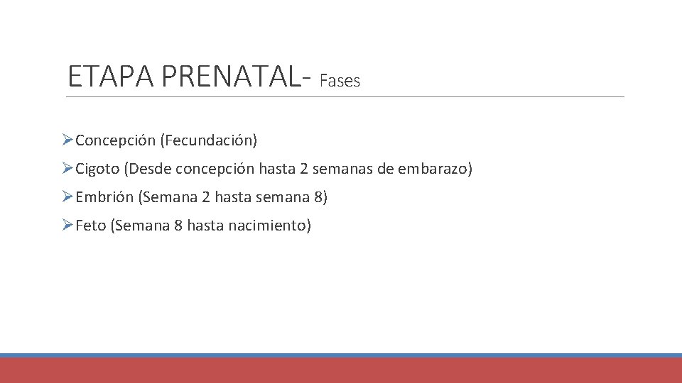 ETAPA PRENATAL- Fases ØConcepción (Fecundación) ØCigoto (Desde concepción hasta 2 semanas de embarazo) ØEmbrión