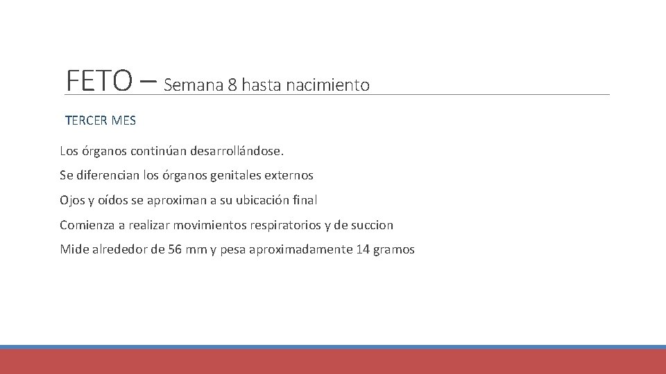 FETO – Semana 8 hasta nacimiento TERCER MES Los órganos continúan desarrollándose. Se diferencian