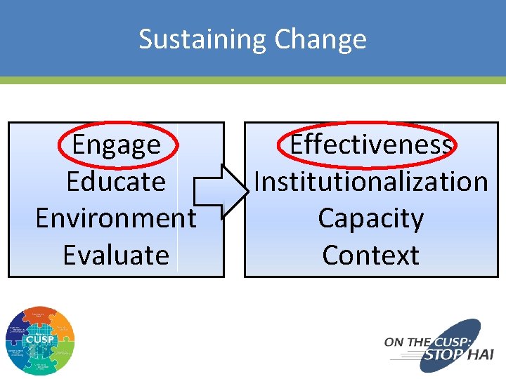 Sustaining Change Engage Educate Environment Evaluate 18 Effectiveness Institutionalization Capacity Context 
